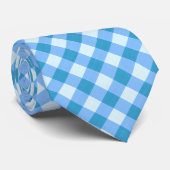 Blauw en Wit Gingham Stropdas (Opgerold)