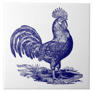 Blauw en wit Leghorn Haan Tegeltje