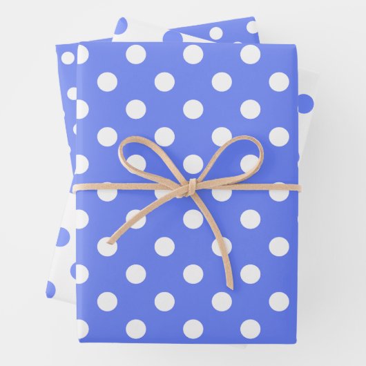 Blauw en wit overeenkomende gestippelde patronen inpakpapier vel (In situ)