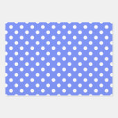 Blauw en wit overeenkomende gestippelde patronen inpakpapier vel (Voorkant)