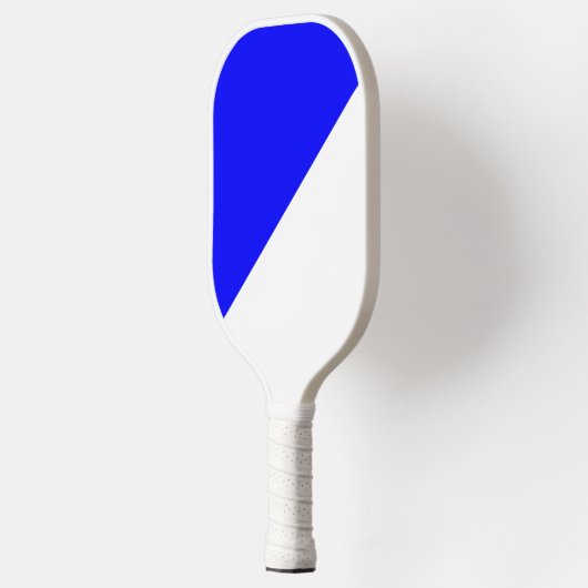 Blauw en wit pickleball paddle (Links)