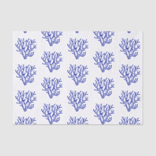 Blauw en wit zee koraal, groot papier (Voorkant)