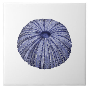 Blauw en wit zee urchin shell keramische tegel tegeltje