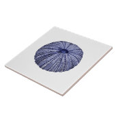 Blauw en wit zee urchin shell keramische tegel tegeltje (Zijkant)