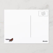 Blauw en witte vuurwerk briefkaart (Achterkant)