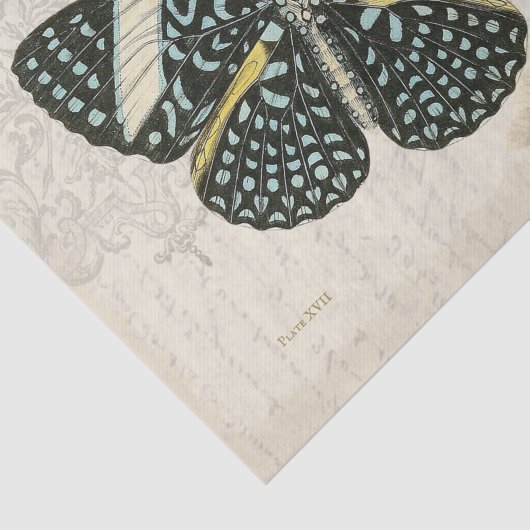 blauw- en zwart-witpapier tissuepapier (Detail)