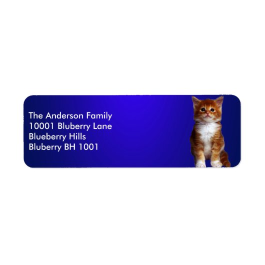 Blauw Etiket Retouradres Gemberkat (Voorkant)