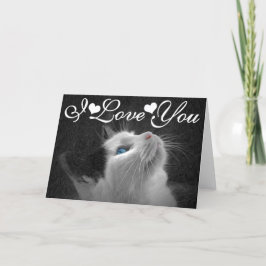 Blauw Eyed Afbeelding I van de Foto van de Kat Kaart