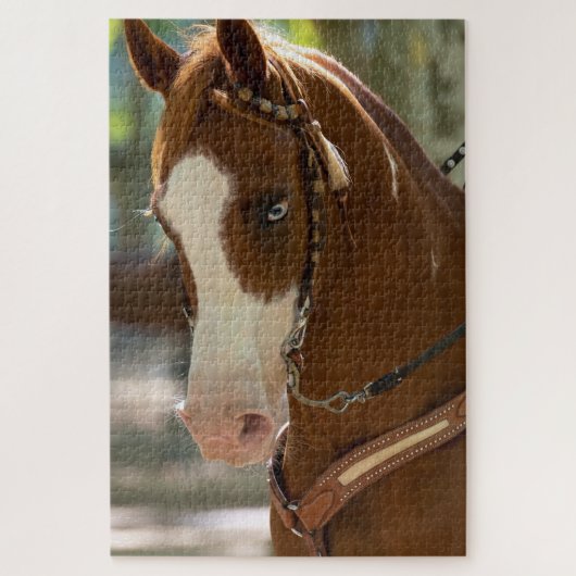 Blauw Eyed Arabisch Paard Legpuzzel (Verticaal)
