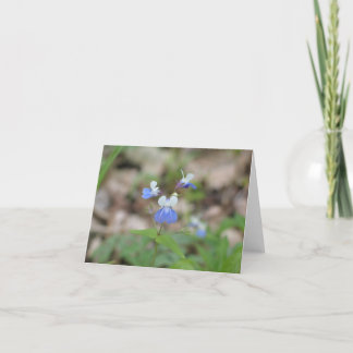 Blauw-eyed Mary Notecard Kaart