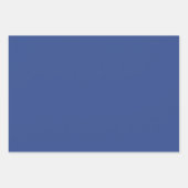 Blauw Floral papier Inpakpapier Vel (Voorkant 2)