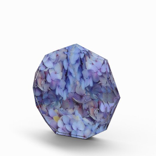 Blauw Fotoblokken (Rechts)
