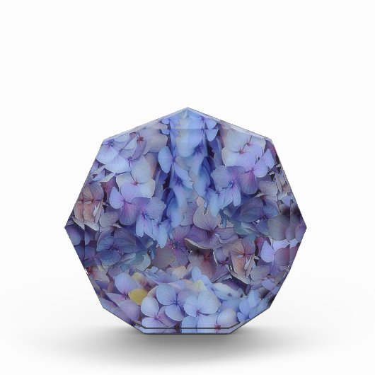 Blauw Fotoblokken (Voorkant)