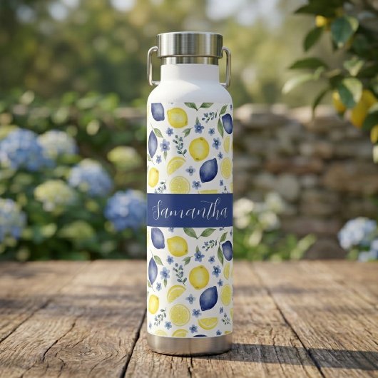 Blauw Frans land lemone patroon naam Waterfles