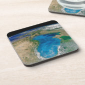 Blauw fytoplankton bloeit in het zwarte Zee Bier Onderzetter (Linkerzijde)