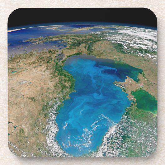 Blauw fytoplankton bloeit in het zwarte Zee Bier Onderzetter (Voorkant)