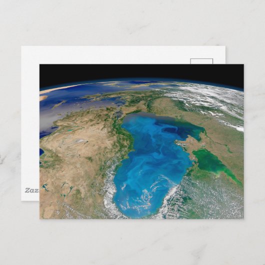 Blauw fytoplankton bloeit in het zwarte Zee Briefkaart (Voorkant / Achterkant)