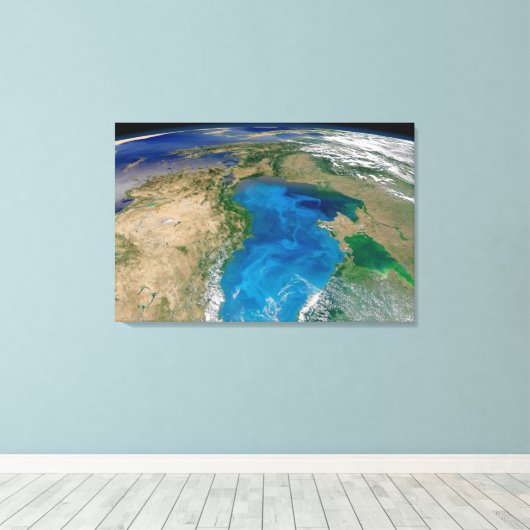 Blauw fytoplankton bloeit in het zwarte Zee Canvas Afdruk (Insitu (Houten vloer))