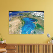 Blauw fytoplankton bloeit in het zwarte Zee Canvas Afdruk (Insitu (Woonkamer))