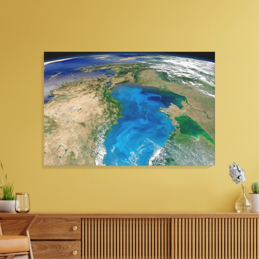 Blauw fytoplankton bloeit in het zwarte Zee Canvas Afdruk (Insitu (Woonkamer))