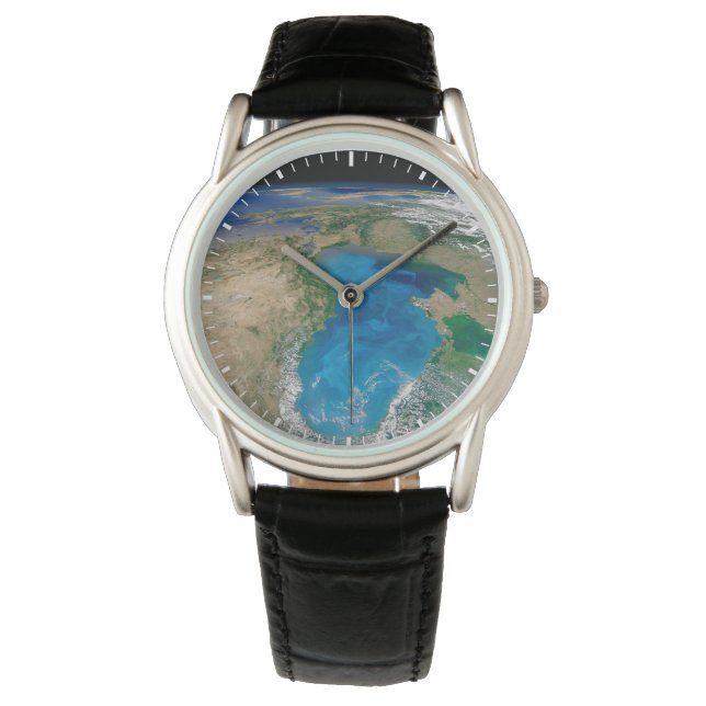 Blauw fytoplankton bloeit in het zwarte Zee Horloge (Voorkant)