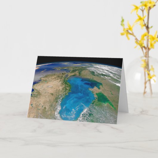 Blauw fytoplankton bloeit in het zwarte Zee Kaart (Gele Bloem)