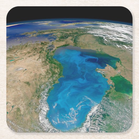 Blauw fytoplankton bloeit in het zwarte Zee Kartonnen Onderzetters (Voorkant)