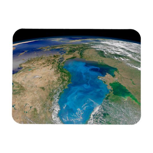 Blauw fytoplankton bloeit in het zwarte Zee Magneet (Horizontaal)