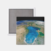 Blauw fytoplankton bloeit in het zwarte Zee Magneet (Voorkant / Achterkant)