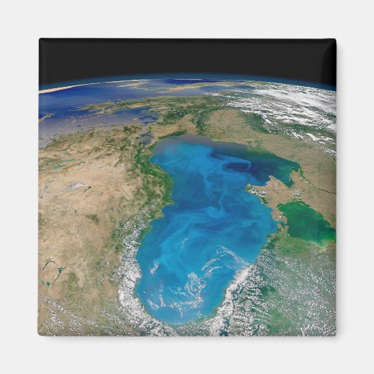 Blauw fytoplankton bloeit in het zwarte Zee Magneet (Voorkant)