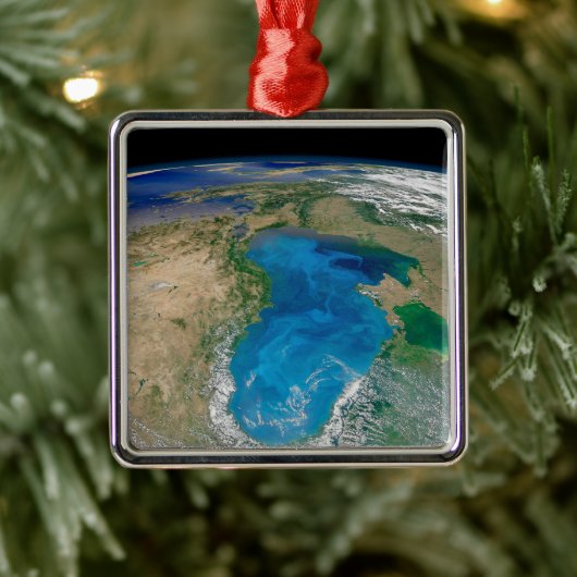 Blauw fytoplankton bloeit in het zwarte Zee Metalen Ornament (Boom)