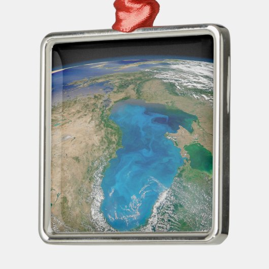 Blauw fytoplankton bloeit in het zwarte Zee Metalen Ornament (Links)