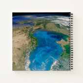 Blauw fytoplankton bloeit in het zwarte Zee Notitieboek (Achterkant)