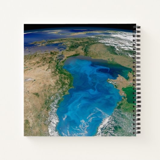 Blauw fytoplankton bloeit in het zwarte Zee Notitieboek (Achterkant)