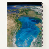 Blauw fytoplankton bloeit in het zwarte Zee Notitieboek (Achterkant)