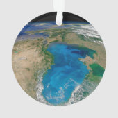 Blauw fytoplankton bloeit in het zwarte Zee Ornament (achterkant)