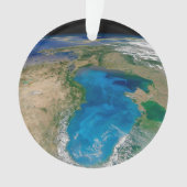 Blauw fytoplankton bloeit in het zwarte Zee Ornament (voorkant)