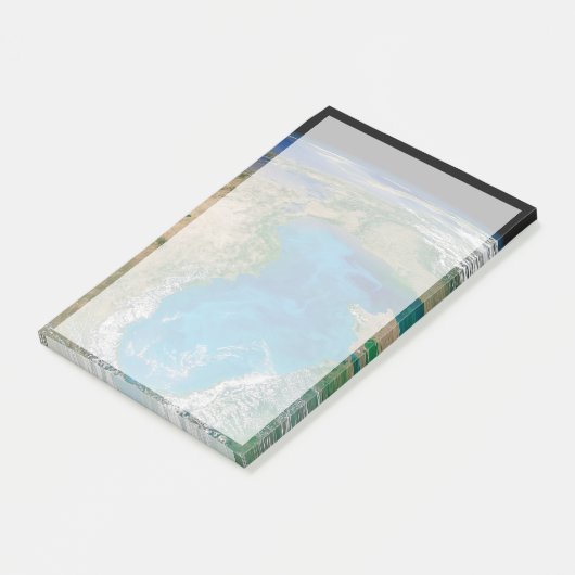 Blauw fytoplankton bloeit in het zwarte Zee Post-it® Notes (Schuin)