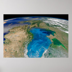 Blauw fytoplankton bloeit in het zwarte Zee Poster