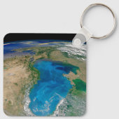 Blauw fytoplankton bloeit in het zwarte Zee Sleutelhanger (Achterkant)