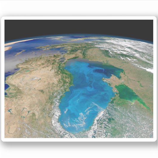 Blauw fytoplankton bloeit in het zwarte Zee Sticker (Voorkant)