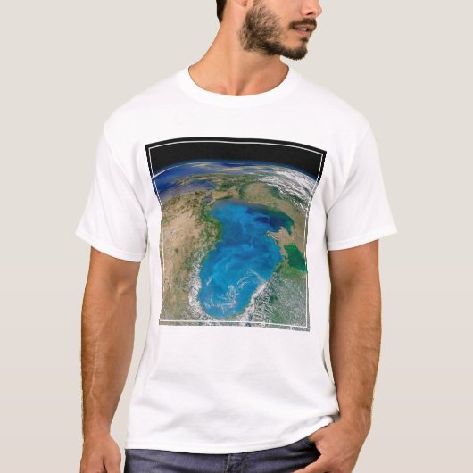 Blauw fytoplankton bloeit in het zwarte Zee T-shirt (Voorkant)