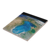 Blauw fytoplankton bloeit in het zwarte Zee Tegeltje (Zijkant)