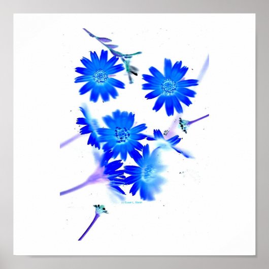 Blauw gekleurde wilde bloemen verspreid over het o poster (Voorkant)
