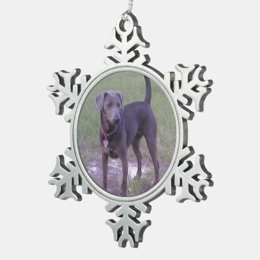 blauw gelaat vol tin sneeuwvlok ornament (Rechts)