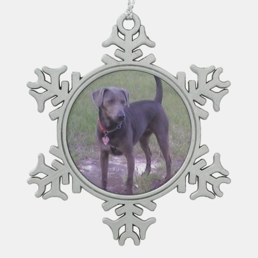 blauw gelaat vol tin sneeuwvlok ornament (Voorkant)