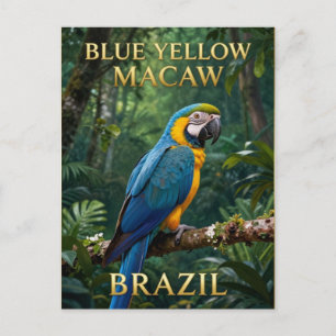 🦜 Blauw-gele Ara Braziliaans Regenwoud Briefkaart