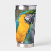 Blauw-gele Ara Geïsoleerde Drinkbeker (Links)