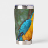 Blauw-gele Ara Geïsoleerde Drinkbeker (Voorkant)