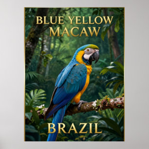🦜 Blauw-gele Ara in Braziliaans regenwoud Poster